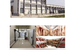 Licitatie fabrica de carne Lactag Craiova